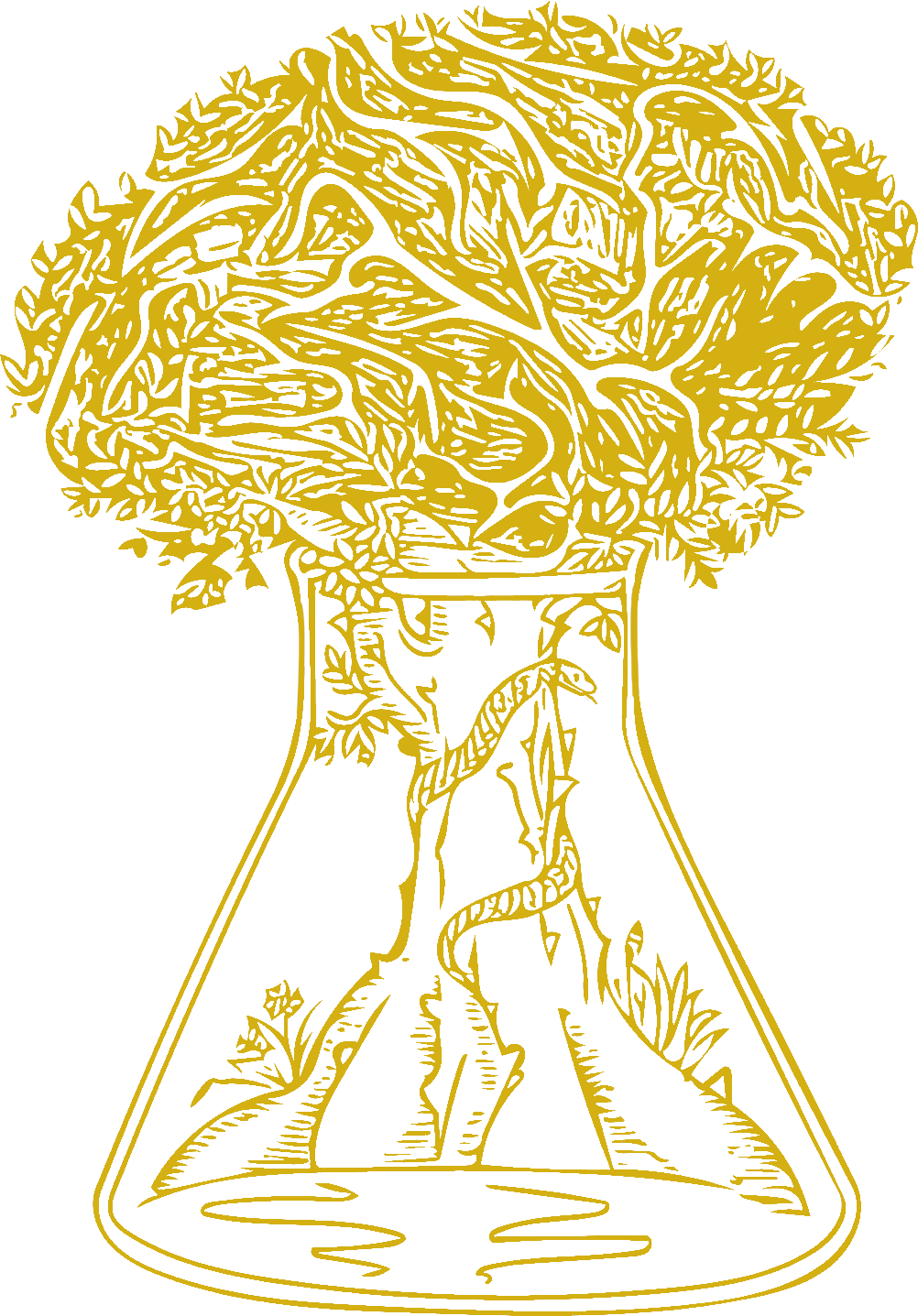 Logo de Revista Anales de Medicina Universitaria