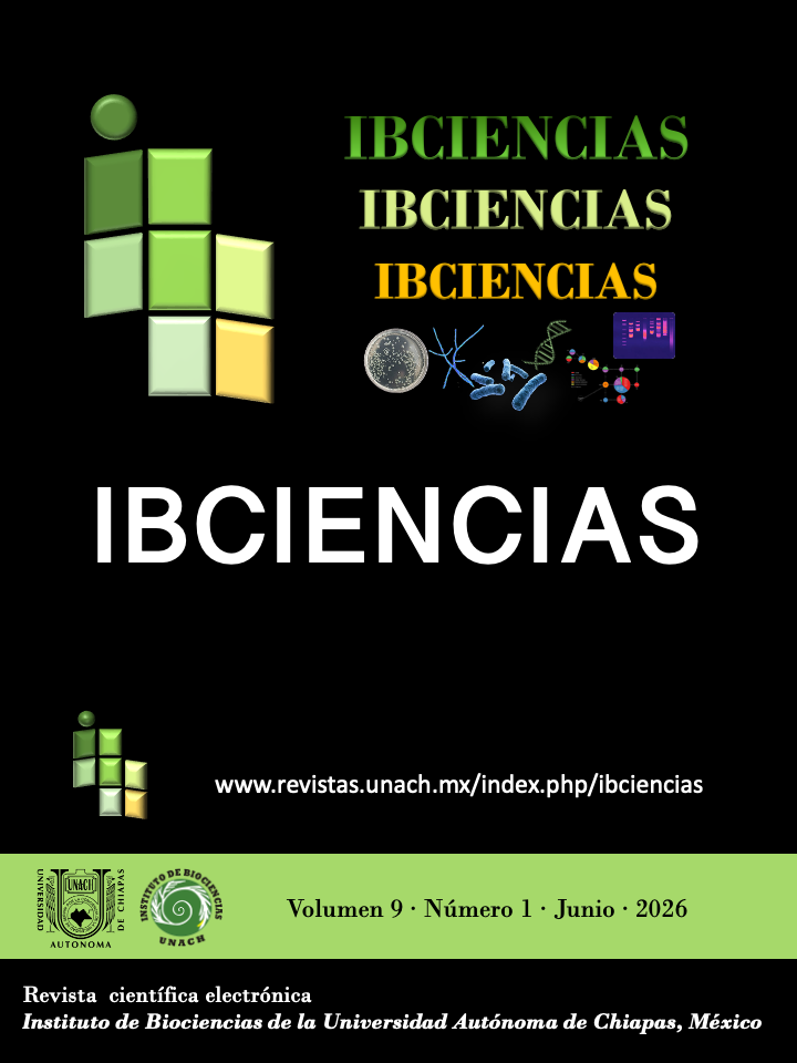 					Ver Vol. 9 Núm. 1 (2026)
				